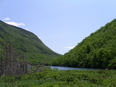 [The low point where two mountains meet creating a green vee since both are covered with trees.]